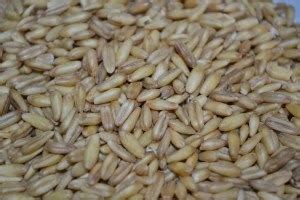 OATS AND A2 MILK PORRIDGE , KARAMBA THE BREAKFAST OF ANCIENT KALARI ...