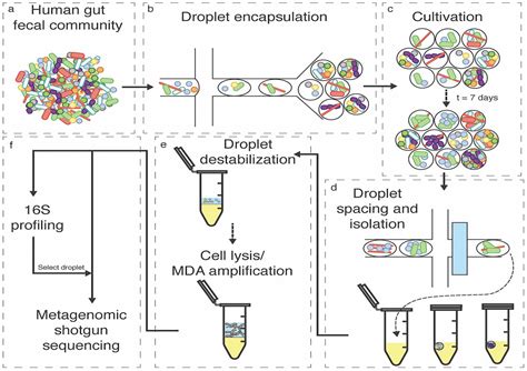 Image result for Microbotics Projects