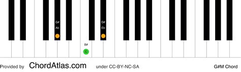 G Sharp Note 的图像结果