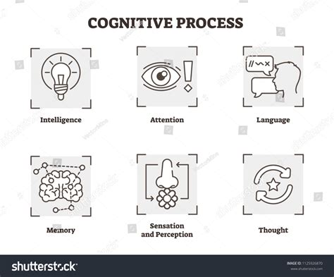 Image result for Cognitive Learning Process