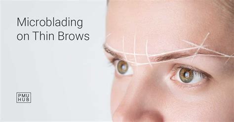 Image result for Microblading Thin Eyebrows