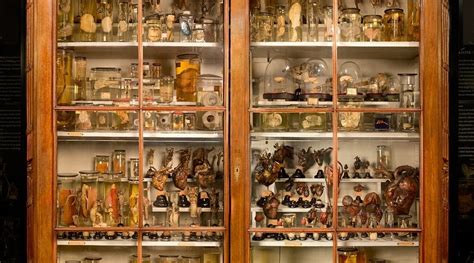 MUSEUM VROLIK (2025) All You Need to Know BEFORE You Go (with Photos ...