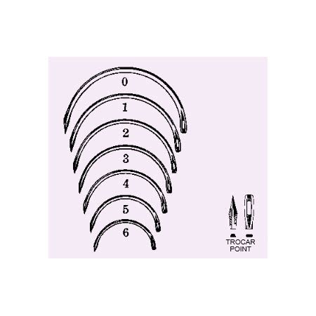 Surgical Needles & Syringes | Tri-anim