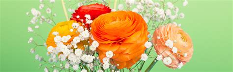 Download wallpaper bouquet, vase, Ranunculus asiaticus, section flowers ...
