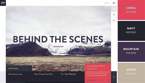 Image result for Website Color Schemes