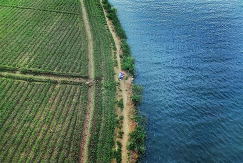 2024 OnePlus Photography Awards Showcase