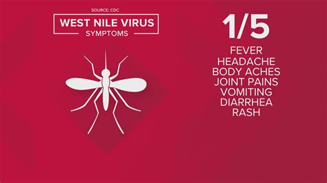 West Nile Disease Symptoms Risk Of West Nile Virus On The Rise In