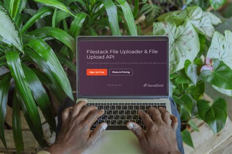 Image result for How to Insert Image in React Using JavaScript