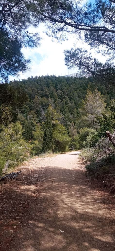 Cosmoenergy healing session in Immitos , Kaisariani Monastery, Athens ...