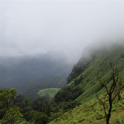 COORG NISHANI HILLS (Madikeri) - Lodge Reviews & Photos - Tripadvisor