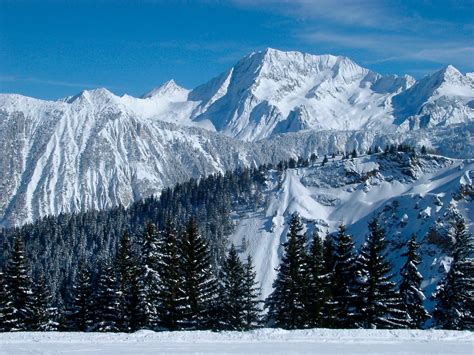 Image result for Snow Chain Installation