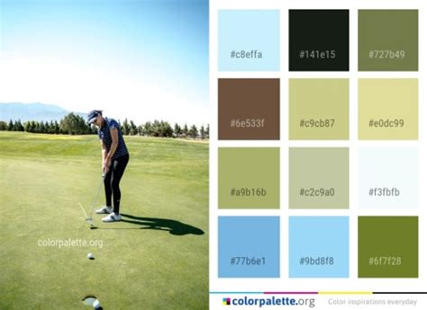 Image result for Golf Course Colorant Application