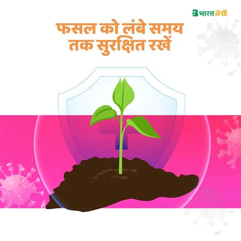 IFC Bacillus shield (Bacillus Subtilis) Biofungicide (1+1 Free) – Gardening