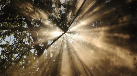 International Day of Light 2021: Date, significance and quotes ...