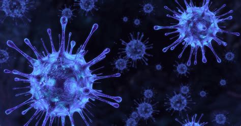 Coping with the Shocks of COVID-19 through Reverse Migration in India ...