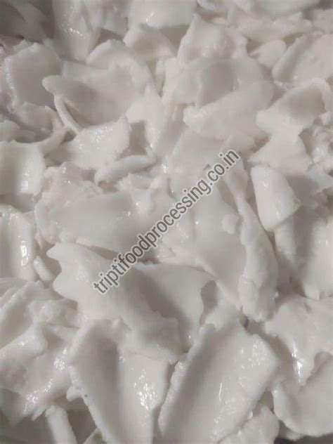 Frozen Tender Coconut Malai Manufacturers and Suppliers from Dhamtari