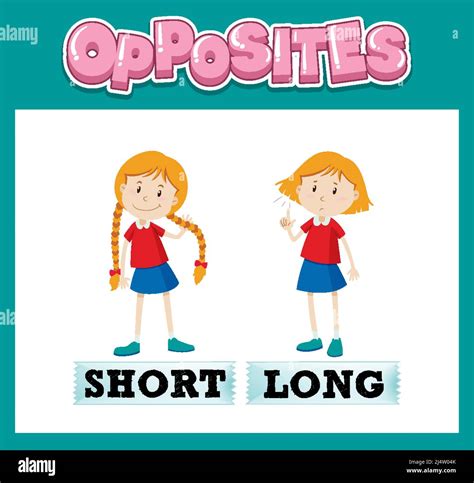 Short Path Algorithm 的图像结果