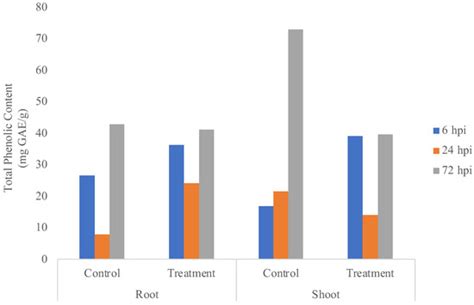 Biochemical Analysis of Banana Plants in Interaction between Endophytic ...