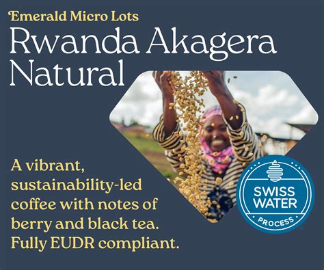 Milli By Metric Coffee Goes the Extra Mile in Chicago