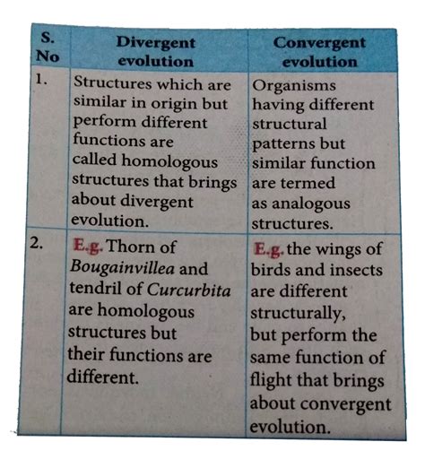 Convergent Evolution Vs Divergent Evolution