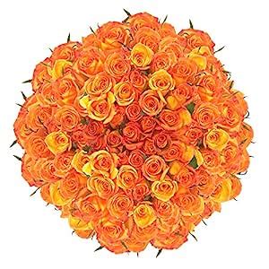 GlobalRose Discount Dark Orange Roses - 200 Long Stem : Amazon.in ...