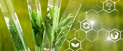 Zukunftsweisender Schritt: DR.SCHNELL und BASF setzen auf nachwachsende ...