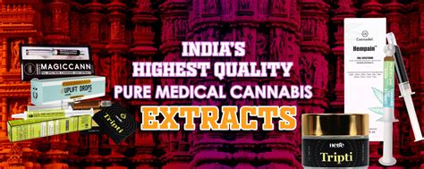 India's Best of THC & CBD Oils, Medical Cannabis, Fungi, Herbal & Yoga ...