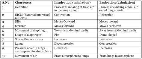 Respiration in Humans and Plants - Science Class 10 PDF Download