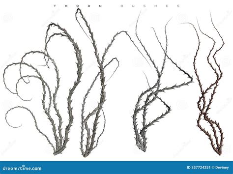 3D Render of Twisted Vines with Thorns Stock Illustration ...