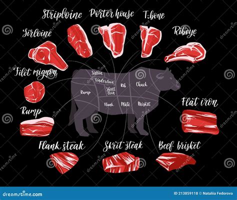 Steak Cuts Set. Beef Cuts Chart and Pieces of Beef, Used for Cooking ...