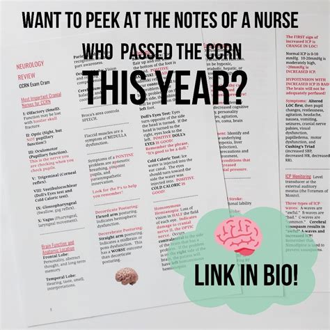 Printable Ccrn Study Guide - Printable Calendars AT A GLANCE