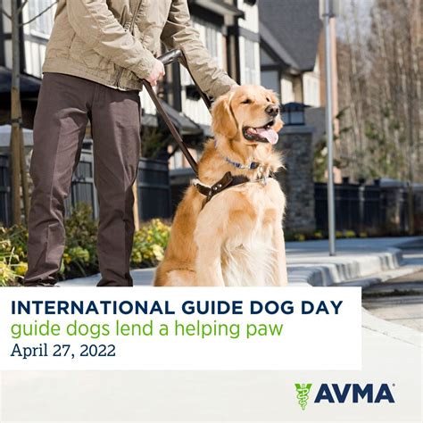 Pleasant Hill Animal Hospital posted on LinkedIn