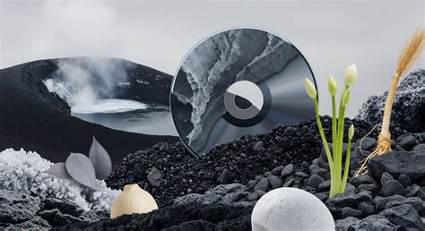 Image result for Example of Systemic Effects