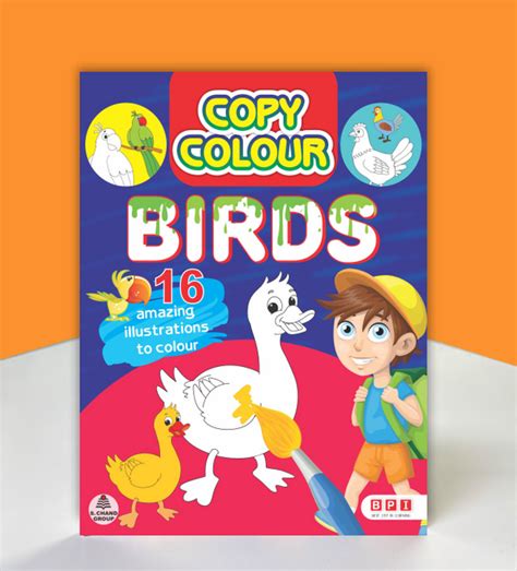 Copy Colour Birds – Copy Colouring Book for Kids (Age 3–6) – BPI India ...