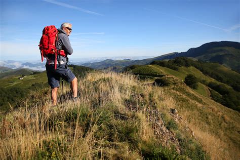 Basque Lessons 的图像结果