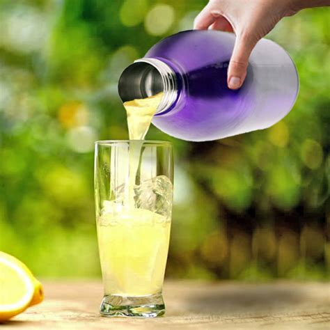 Stainless Steel Vacuum Bottle - Purple – Atlasware India