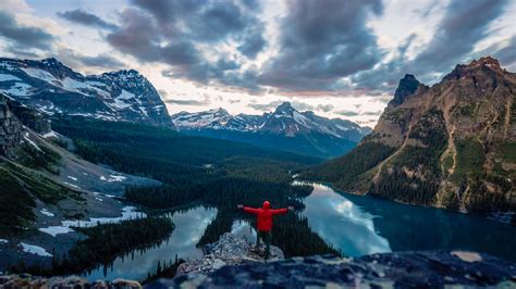 Vimeo 4K 的图像结果