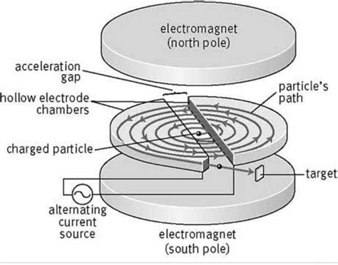 draw a neat labelled diagram of the construction of the cyclotron ...