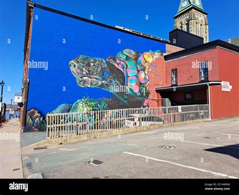 Protect Turtle Island mural on Princess Street in downtown Saint John ...