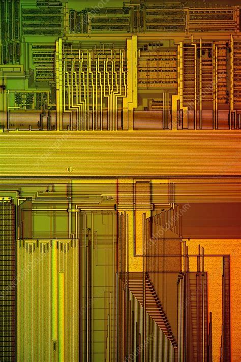 Image result for Microprocessor Components