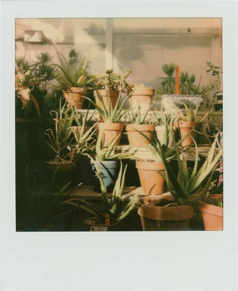 Image result for Using Polaroid One Step Settings