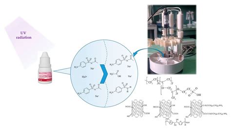 Potentiometric Sensor Arrays Based on Hybrid PFSA/CNTs Membranes for ...
