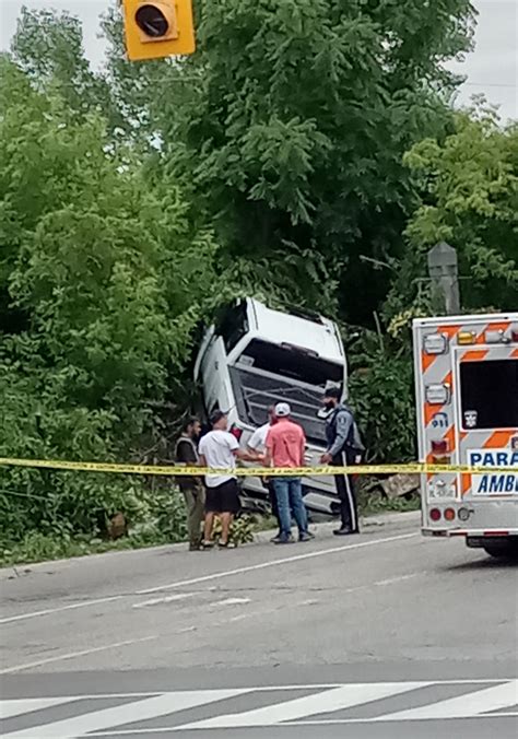 Image result for Brampton Insurance Scam