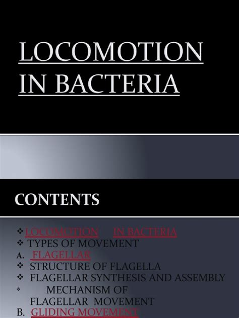 Code Python for Bacteria Movement 的图像结果