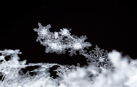 Image result for Spring Winter Snowflake