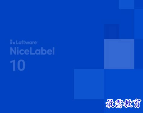 NiceLabel System 的图像结果