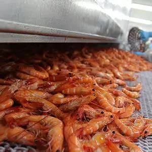 Modular Belts, Slat Chain Conveyor Belt & Parts Manufacturers