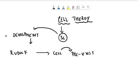 Image result for Cell Theory Explained