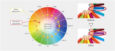 Features | AG-CX20 | Professional Camera Recorders | Broadcast and ...