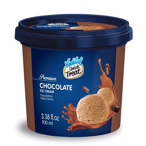 Vadilal Chocolate Ice Cream 100ml – JFK Grocery Inc.